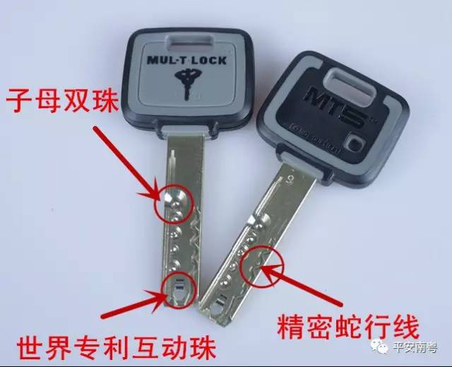 n2GO-fyetwtf9774951.jpg