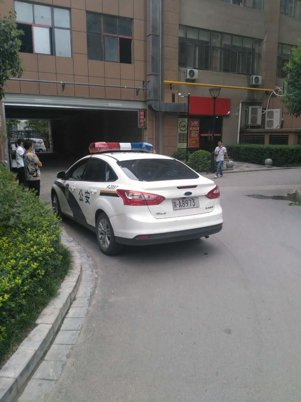 mmexport1503205063454.jpg