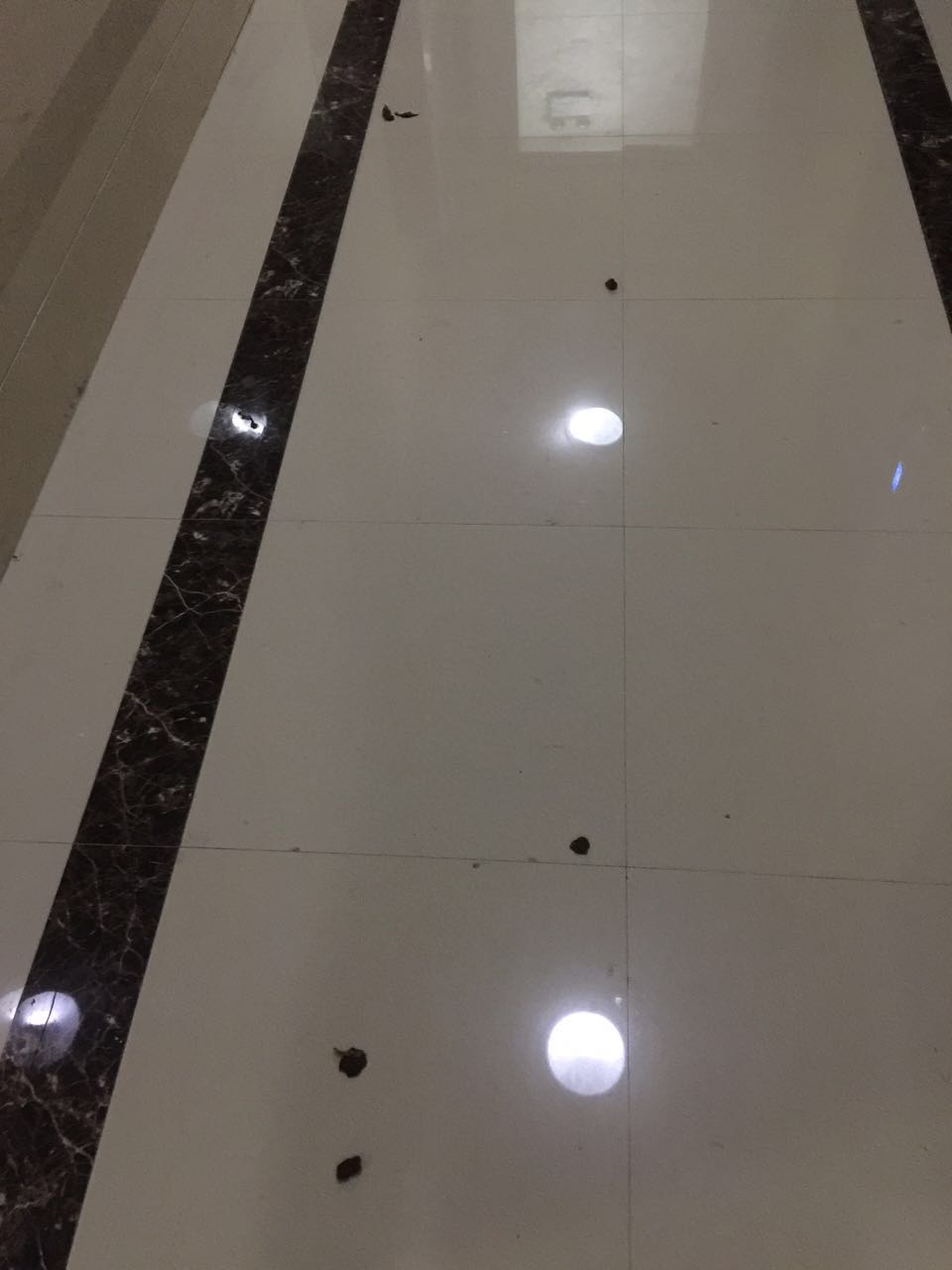 微信图片_20171023101419.jpg