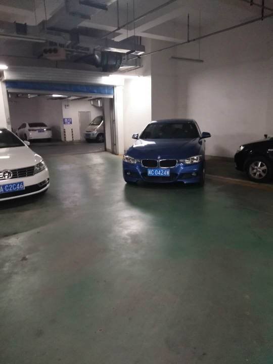 201548sogdwr1tz1rsqtrd.jpg